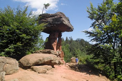 IMG03858.jpg IMG03858.jpg