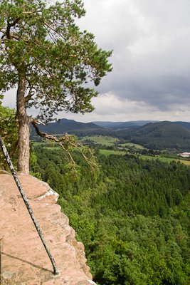 IMG03785.jpg IMG03785.jpg