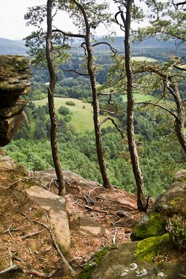 IMG03786.jpg IMG03786.jpg