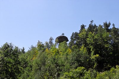 IMG03869.jpg IMG03869.jpg