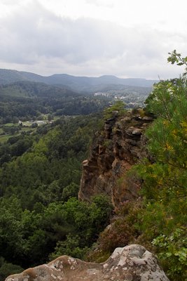 IMG03780.jpg IMG03780.jpg