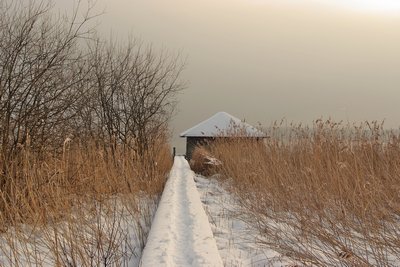 DSCF0398_ji.jpg