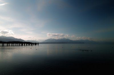 Chiemsee_2010 (2).jpg