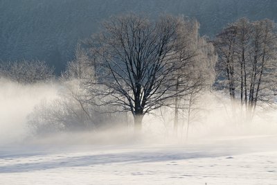 Chiemsee_2010 (4).jpg