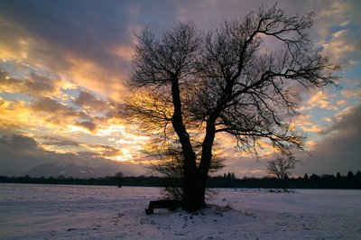 Chiemsee_2010 (5).jpg