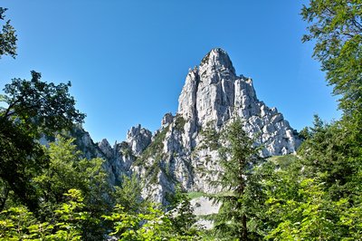 Chiemsee_2010 (10).jpg