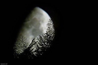 Mond_SDIM8848_filtered3.jpg