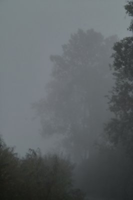 SDIM5495.jpg