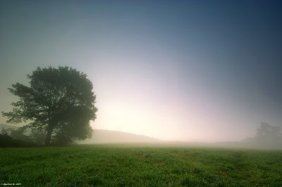 0310_SDIM9233.jpg