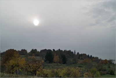 SDIM0561.jpg