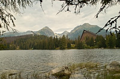 SDIM0140-sf.jpg SDIM0140-sf.jpg