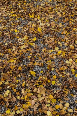 20121013-IMGP4714 v.jpg