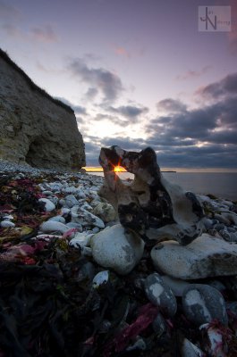 IMGP3259.jpg IMGP3259.jpg