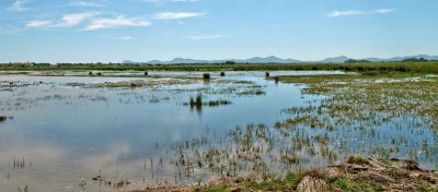 Pano_S\'Albufera.jpg