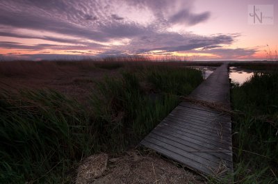 IMGP3145.jpg IMGP3145.jpg