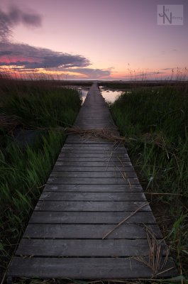 IMGP3142.jpg IMGP3142.jpg