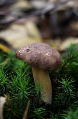 20121023-IMGP5548.jpg