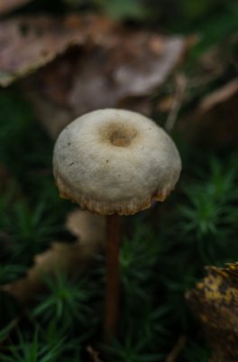 20121023-IMGP5542.jpg