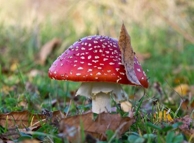 IMGP7199-Bearbeitet.jpg