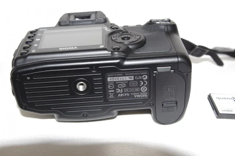 IMGP2911.webp