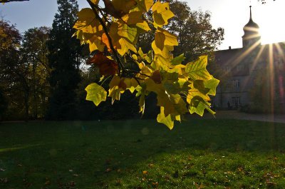 comp_IMGP8159-2.jpg comp_IMGP8159-2.jpg