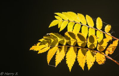 20121031-IMGP6233.jpg