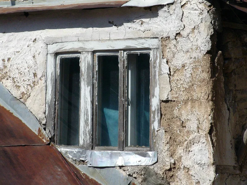 IMGP1203.webp
