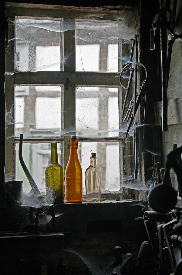 comp_IMGP1700.webp