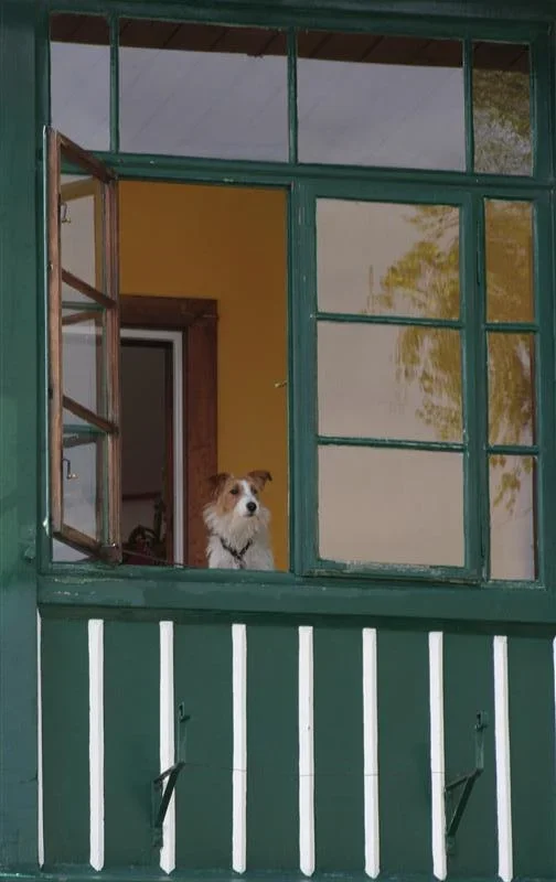 am Fenster (Medium).webp
