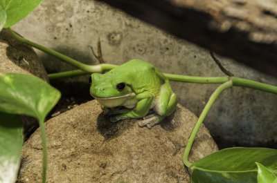 Terrarium-14.jpg Terrarium-14.jpg