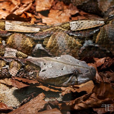 IMGP1106.jpg IMGP1106.jpg