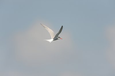 DSC_2721.jpg