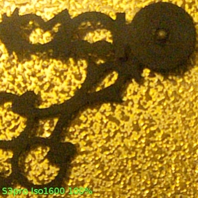 S3pro Iso1600.jpg