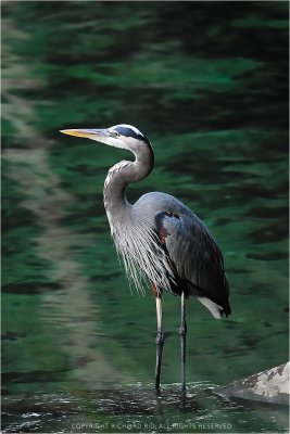 DSC_2463a.jpg DSC_2463a.jpg