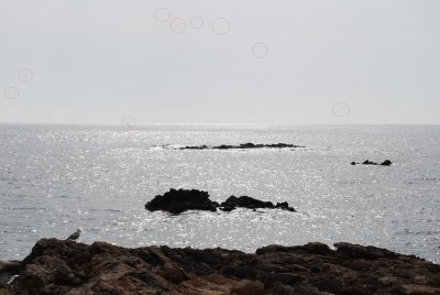 DSC_00444.jpg DSC_00444.jpg
