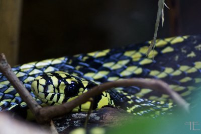 IMGP1310.jpg IMGP1310.jpg