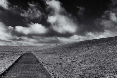 20121226 HOF -L1007825-alt.jpg