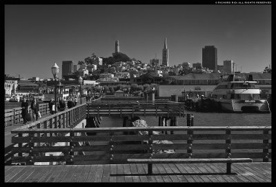 ©RD_Frisco_Pier39_03.jpg ©RD_Frisco_Pier39_03.jpg