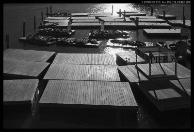 ©RD_Frisco_Pier39_07.jpg ©RD_Frisco_Pier39_07.jpg