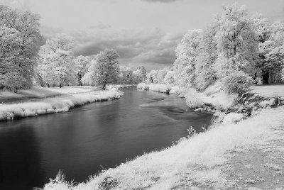 DSCF0272.jpg