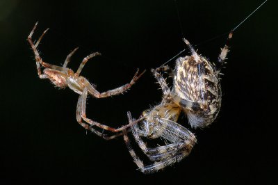 DSCF2293.jpg