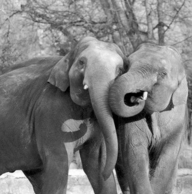 Scan-130203-0001-2.jpg Scan-130203-0001-2.jpg