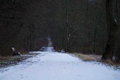 IMGP2838.jpg