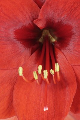 _DSF0674_1.jpg