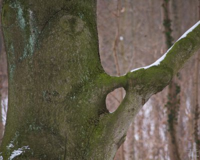IMGP2865.jpg