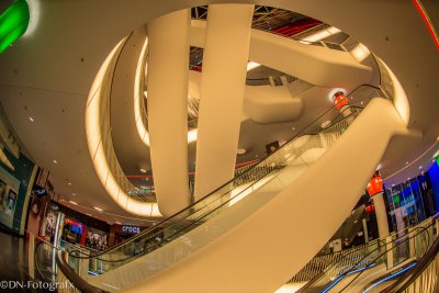 DWN_7934.jpg DWN_7934.jpg