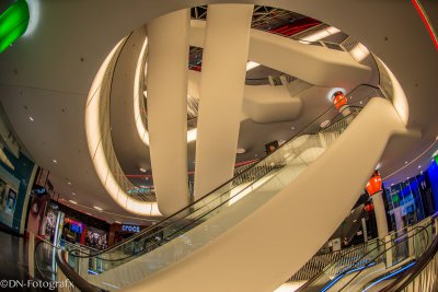 DWN_7934.jpg DWN_7934.jpg