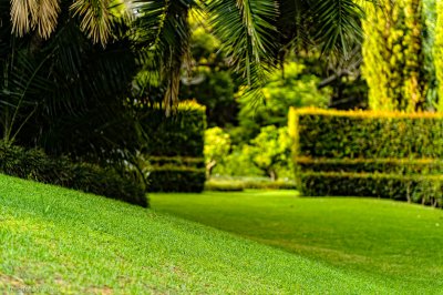 20130306-_HOF8160_alt_.jpg 20130306-_HOF8160_alt_.jpg