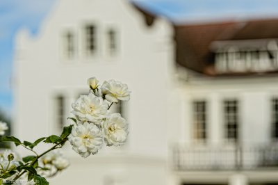 20130306-_HOF8132_alt_.jpg 20130306-_HOF8132_alt_.jpg