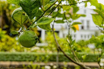 20130306-_HOF8174_alt_-2.jpg 20130306-_HOF8174_alt_-2.jpg